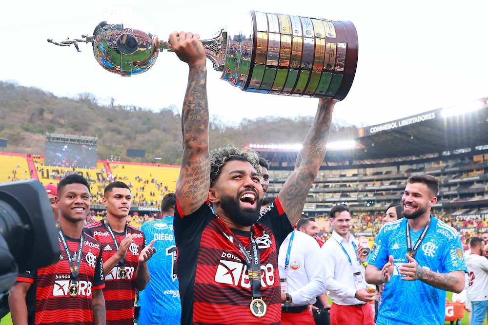 Libertadores Trophy  Taça libertadores da américa, Taça da copa, Copa  libertadores da américa